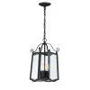 Glenwood 18.75 in. Black 4-Light Outdoor Hanging Lamp with Clear Seedy Glass Shade by Designers Fountain -Designers Fountain Shop black designers fountain outdoor pendant lights 94794 bk 64 1000