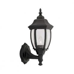 Tiverton 16.25 in. Black 1-Light Outdoor Wall Lamp with Clear Glass Shade by Designers Fountain