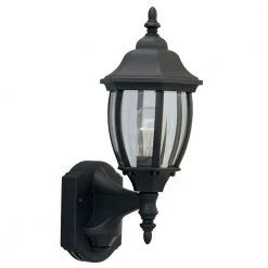 Tiverton 16.25 in. Black 1-Light Outdoor Wall Lamp with Clear Glass Shade by Designers Fountain