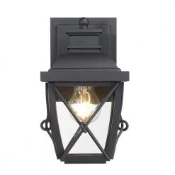 Belmont 9.75 in. Black 1-Light Outdoor Wall Lamp with Clear Glass Shade by Designers Fountain -Designers Fountain Shop black designers fountain outdoor sconces 34821 bk 40 1000