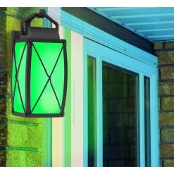 16.5 in. Black Smart LED Outdoor Wall Lamp with Frosted Glass Shade by Designers Fountain 21 16.5 in. Black Smart LED Outdoor Wall Lamp with Frosted Glass Shade by Designers Fountain -Designers Fountain Shop black designers fountain outdoor sconces led7090rgb bk 77 1000