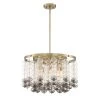 Villa Rose 8-Light Brushed Gold Chandelier with Clear Smoke Glass by Designers Fountain -Designers Fountain Shop brushed gold designers fountain chandeliers d208c 8ch bg 64 1000