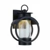 Arbor 12 in. Burnished Bronze LED Outdoor Wall Lamp with Clear Glass Shade by Designers Fountain -Designers Fountain Shop burnished bronze designers fountain outdoor sconces led32811 bnb 64 1000