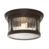 Canyon Lake 6.5 in. Chestnut 2-Light Outdoor Ceiling Flush Mount Lamp with Aged Crackle Glass Shade by Designers Fountain -Designers Fountain Shop chesnut designers fountain outdoor chandeliers 20935 chn 64 1000