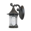 Canyon Lake 12.5 in. Chestnut 1-Light Outdoor Wall Lamp with Aged Crackle Glass Shade by Designers Fountain -Designers Fountain Shop chestnut designers fountain outdoor sconces 20911 chn 64 1000