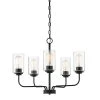 Logan 5-Light Matte Black Chandelier with Clear Seedy Glass Shades by Designers Fountain -Designers Fountain Shop matte black designers fountain chandeliers 96485 mb 64 1000