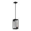 Urban Oasis 2-Light Matte Black Pendant by Designers Fountain -Designers Fountain Shop matte black designers fountain chandeliers d224m 6p mb 64 1000