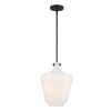 Day Dream 1-Light Matte Black Shaded Pendant Light by Designers Fountain -Designers Fountain Shop matte black designers fountain chandeliers d229m 12p mb 64 1000