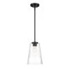 Ingo 8 in. 1-Light Matte Black Pendant Light with Clear Ribbed Glass Shade by Designers Fountain -Designers Fountain Shop matte black designers fountain chandeliers d230m 8p mb 64 1000