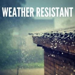 Sedona 10.75 in. Oil Rubbed Bronze 1-Light Outdoor Wall Lamp with Clear Seedy Glass Shade by Designers Fountain 11 Sedona 10.75 in. Oil Rubbed Bronze 1-Light Outdoor Wall Lamp with Clear Seedy Glass Shade by Designers Fountain -Designers Fountain Shop oil rubbed bronze designers fountain outdoor sconces 2370 orb 1d 1000
