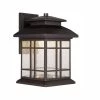 Piedmont 13 in. Oil Rubbed Bronze LED Outdoor Wall Lamp with Clear Seedy Glass Shade by Designers Fountain