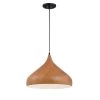 Hana 1-Light Robusta Wood Style Finish Hanging Pendant by Designers Fountain -Designers Fountain Shop robusta wood style finish designers fountain chandeliers 3545 319 64 1000