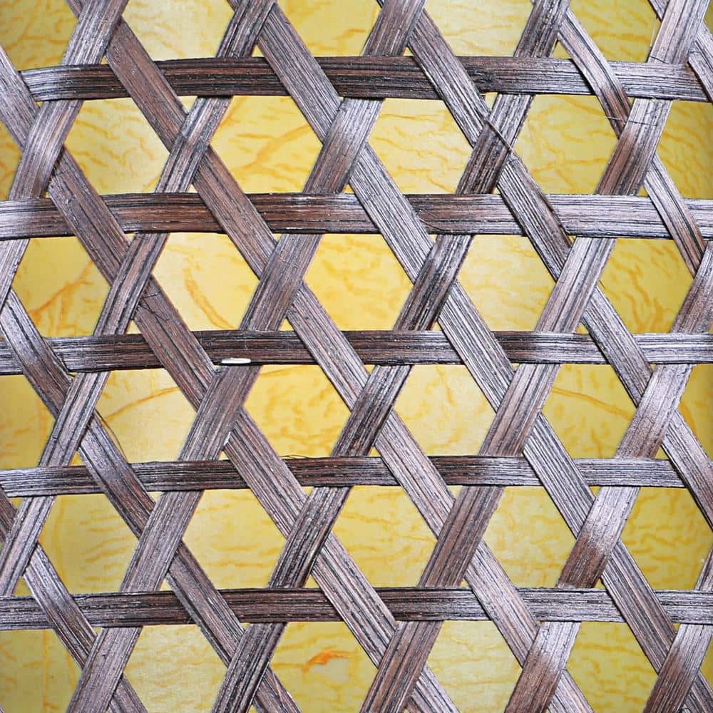 Bodhi 1-Light Stained Cane with Black Accents Hanging Pendant by Designers Fountain 5 Bodhi 1-Light Stained Cane with Black Accents Hanging Pendant by Designers Fountain - Image 3