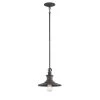 Aurora 1-Light Weathered Pewter Mini Pendant by Designers Fountain